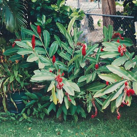 Casa Peace Haven Beach House アグアダ エクステリア 写真